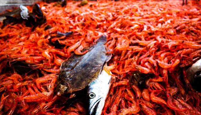 Blog images - 2025 - VOL.003 - GettyImages