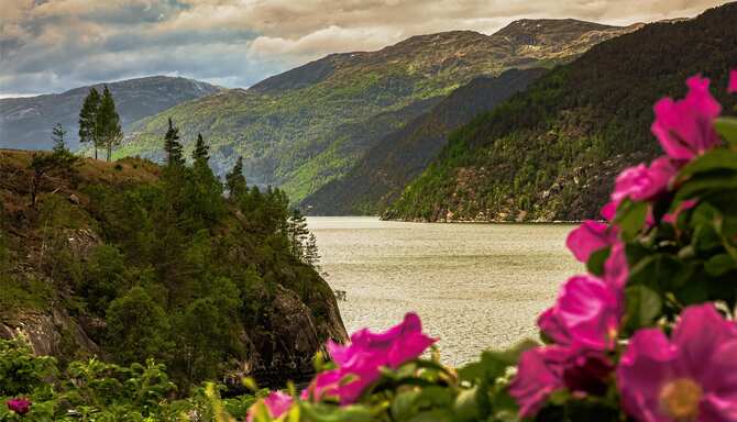 Blog images - 2025 - VOL.003 - GettyImages