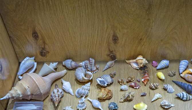 Blog images - 2025 - Mahabalipuram museums and cultural sites