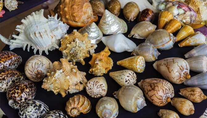 Blog images - 2025 - Mahabalipuram museums