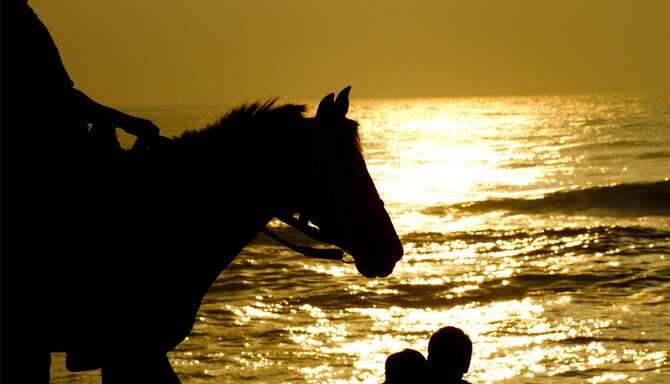 Blog images - 2025 - horse riding on the beach India