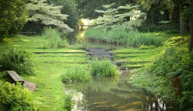 Blog images - 2025 - Japanese garden Westerpark Amsterdam