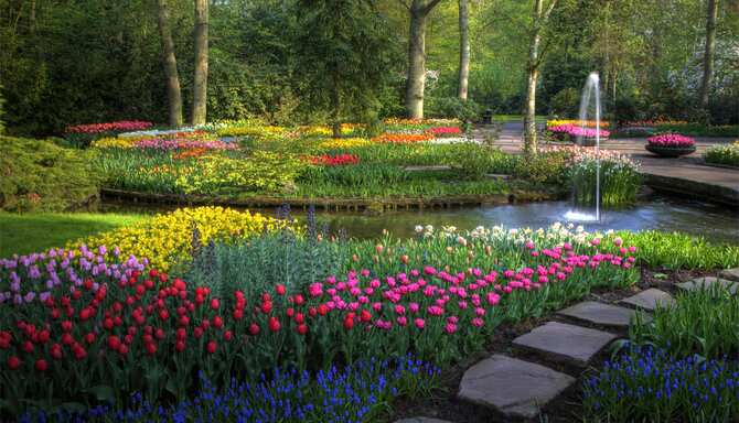 Blog images - 2025 - Springtime Keukenhof Gardens
