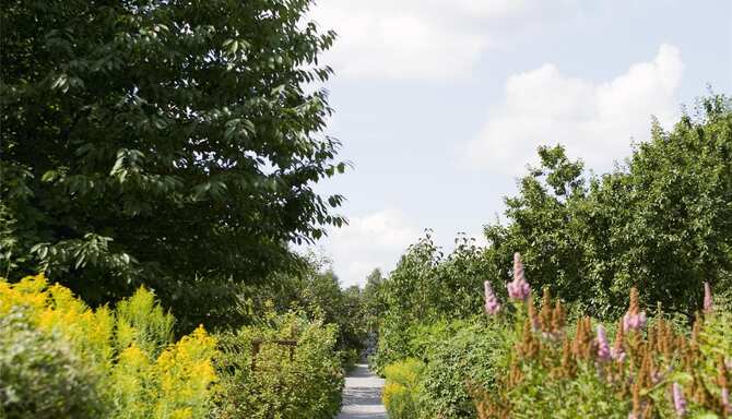 Blog images - 2025 - Rosendals Garden