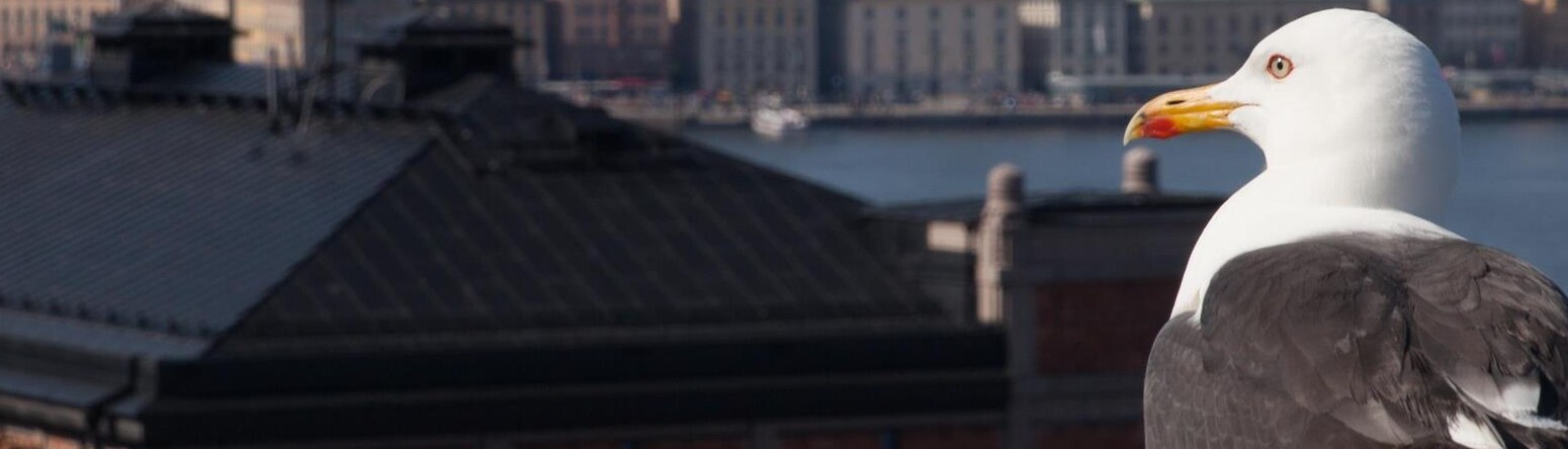 Blog images - 2025 - Fotografiska in Stockholm Sweden