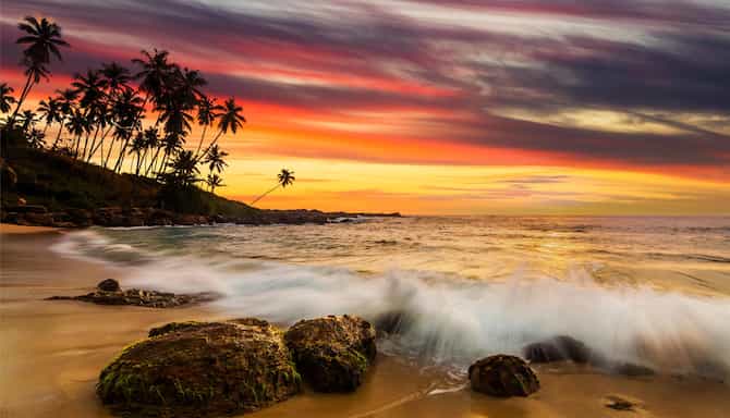 Blog images - 2025 - Vainguinim Beach