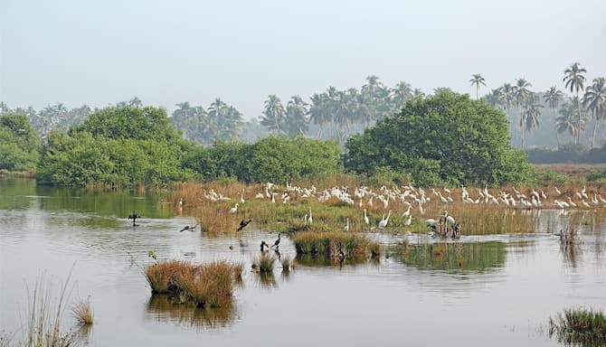 Blog images - 2025 - Cotigao Wildlife Sanctuary Goa