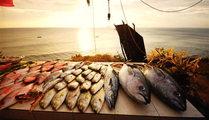 Blog images - 2025 - Chennai Beaches