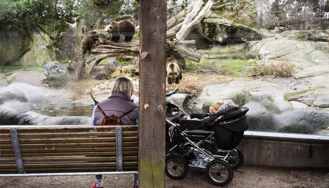 Blog images - 2025 - Skansen in Stockholm