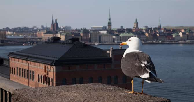 Blog images - 2025 - Fotografiska in Stockholm Sweden