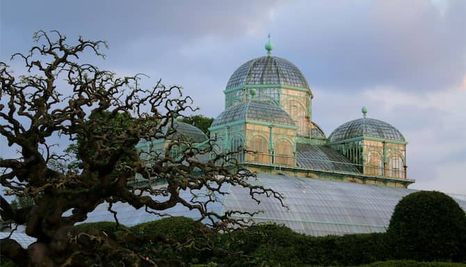 Blog images - 2025 - Royal greenhouses in Laeken