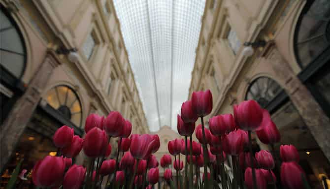 Blog images - 2025 - Galeries Royales Saint Hubert Koninklijke Sint Hubertusgalerijen Brussels Belgium