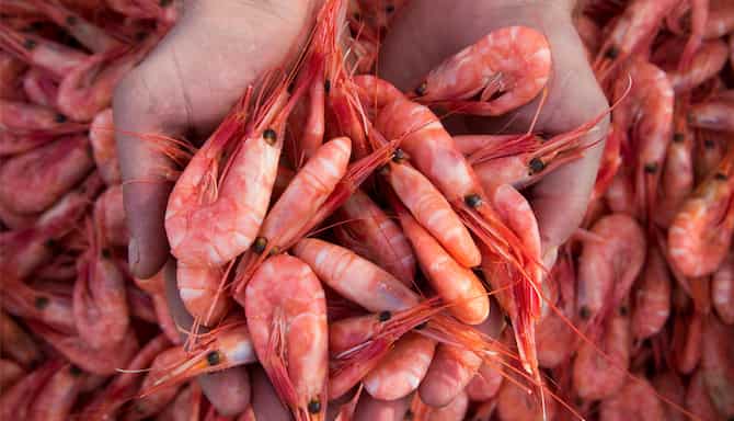 Blog images - 2025 - VOL.003 - GettyImages