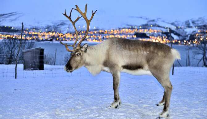 Blog images - 2025 - VOL.003 - GettyImages