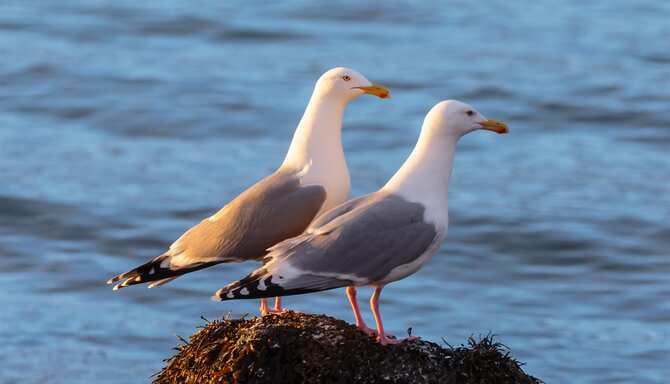 Blog images - 2025 - VOL.003 - GettyImages