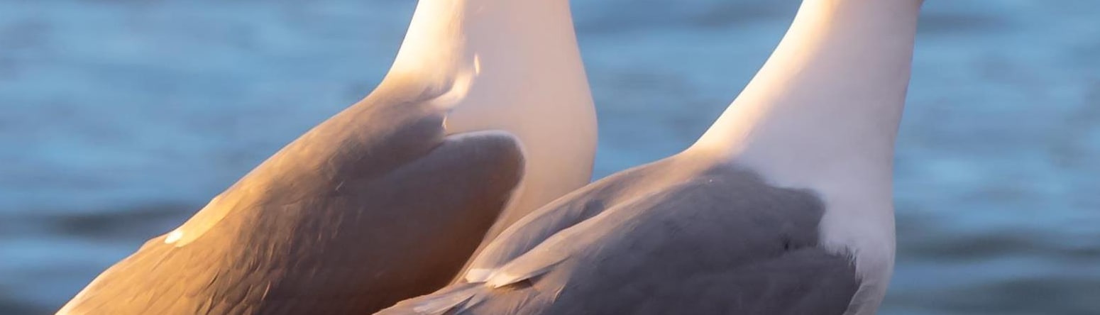 Blog images - 2025 - VOL.003 - GettyImages