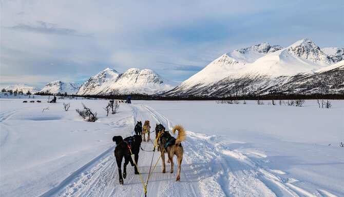 Blog images - 2025 - VOL.003 - GettyImages