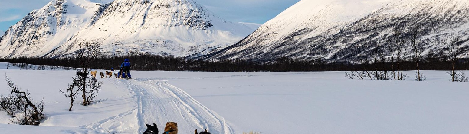 Blog images - 2025 - VOL.003 - GettyImages