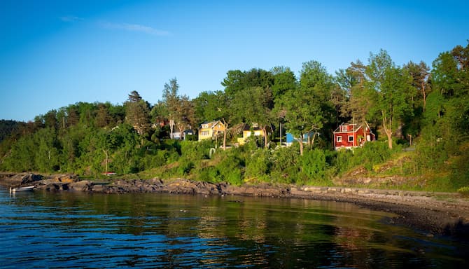 Blog images - 2025 - VOL.004 - Hoved ya Oslo Norway