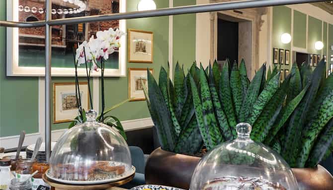 Blog images - 2025 - VOL.009 - Where to Eat Venice Wonders Radisson Collection Hotel Palazzo Nani Venice