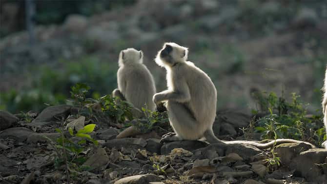 Blog images - 2025 - VOL.009 - IMAGE