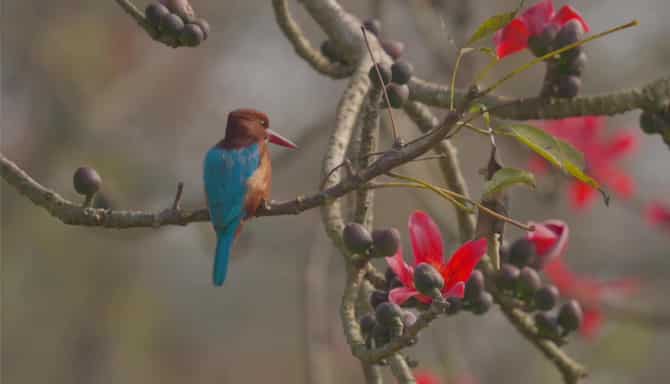 Blog images - 2025 - VOL.009 - IMAGE