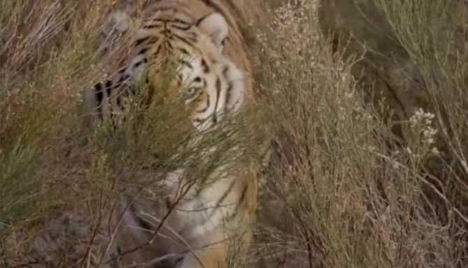 Blog images - 2025 - VOL.009 - IMAGE