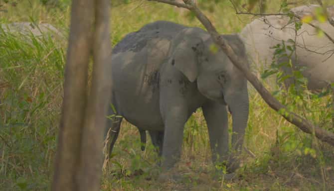 Blog images - 2025 - VOL.009 - IMAGE