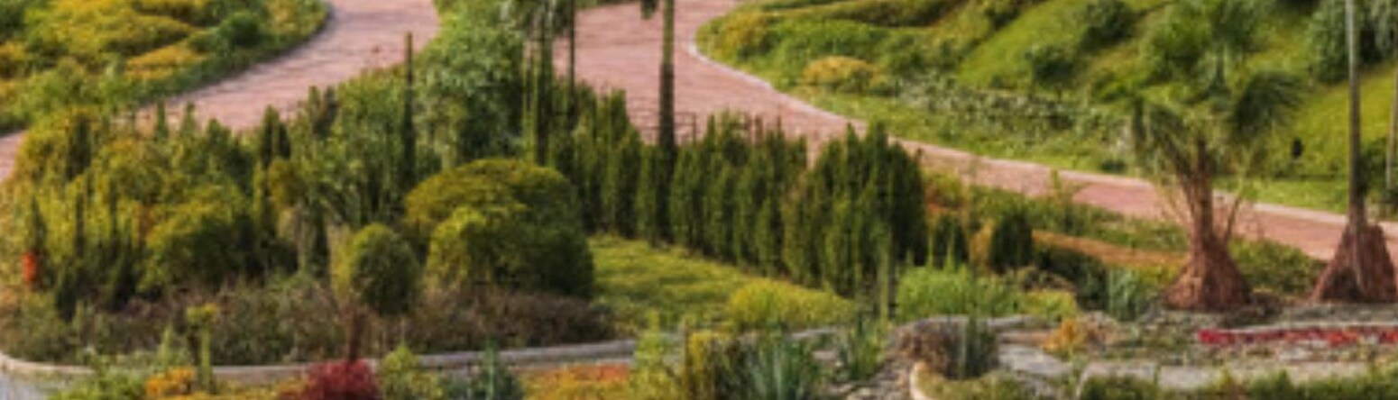 Blog images - 2025 - VOL.009 - IMAGE