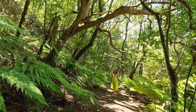 Blog images - 2025 - VOL.009 - Enjoy a Tenerife holiday and uncover Destination DE ANAGA LAURISILVA HORIZONTAL