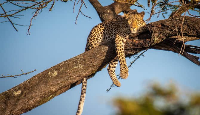 Blog images - 2025 - VOL.009 - IMAGE