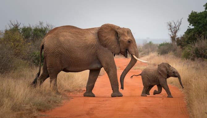 Blog images - 2025 - VOL.009 - IMAGE