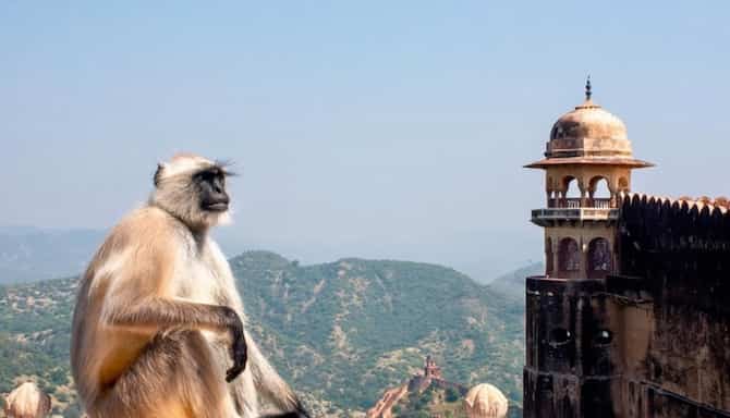 Blog images - 2025 - VOL.009 - Hanuman Garhi religious significance