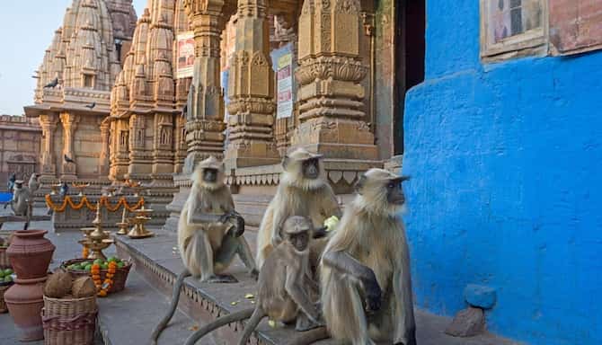 Blog images - 2025 - VOL.009 - Hanuman temples