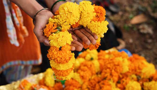 Blog images - 2025 - VOL.009 - Pondicherry temples Culture GettyImages