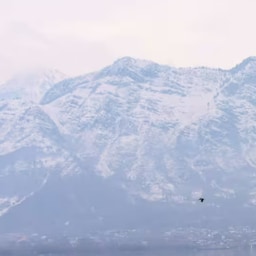 Blog images - 2025 - VOL.009 - Flavors of Kashmir related blog