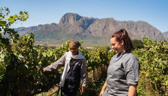 Blog images - 2025 - VOL.009 - savor quality wine at of cape town experiences PHOTO
