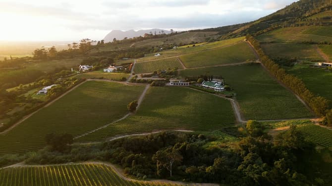 Blog images - 2025 - VOL.009 - savor quality wine at of cape town experiences Constantia