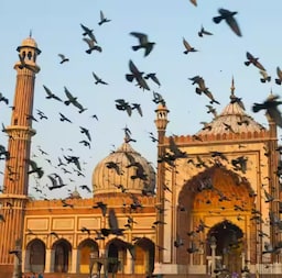 Blog images - 2025 - VOL.010 - related blog image