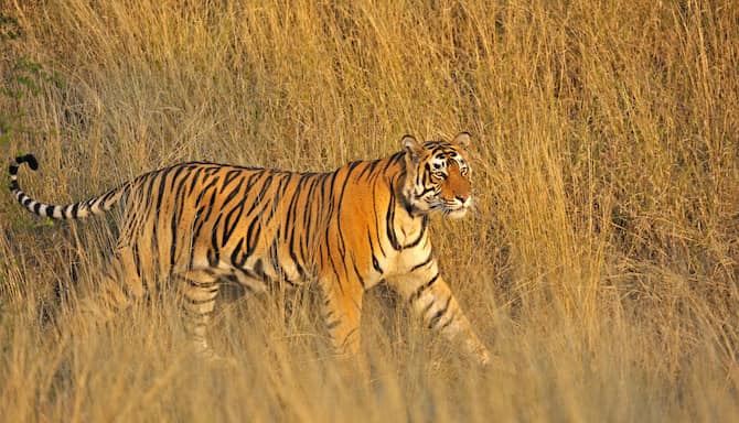 Blog images - 2025 - VOL.010 - GettyImages