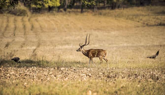 Blog images - 2025 - VOL.010 - GettyImages