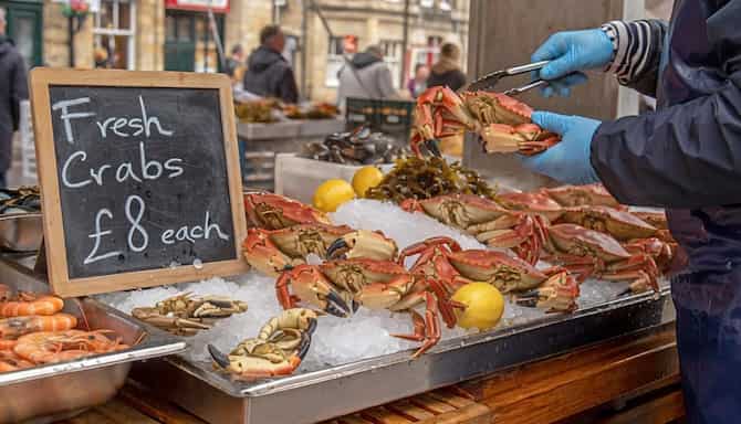 Blog images - 2025 - VOL.010 - Yorkshire Crab