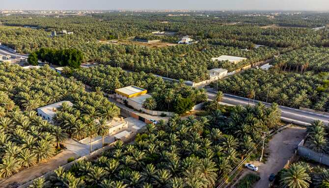 Blog images - 2025 - Riyadh places to visit uncover hidden gems Destination Saudi Arabia Eastern Province Al Hofuf Aeria