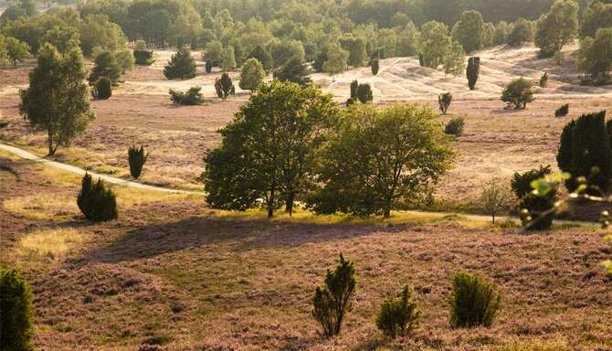 Blog images - 2025 - Germany Lower Saxony Lueneburg Heath