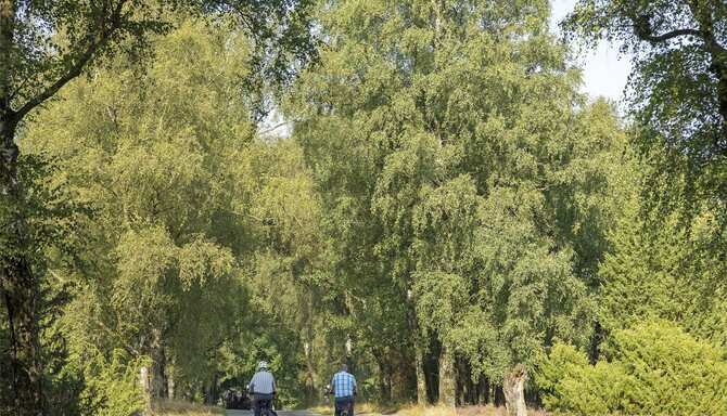 Blog images - 2025 - L neburg Heath Lower Saxony Germany