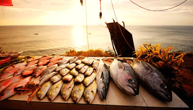 Blog images - 2025 - Chennai Beaches