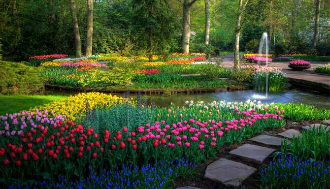 Blog images - 2025 - Springtime Keukenhof Gardens