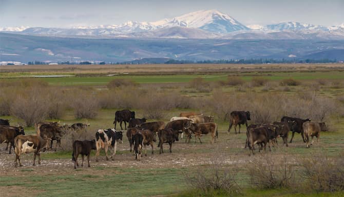 Blog images - 2026 - VOL.001 - Things to Do in Kayseri