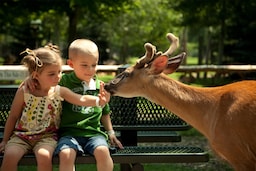 Blog images - 2026 - VOL.001 - Wismar Zoo Cover image