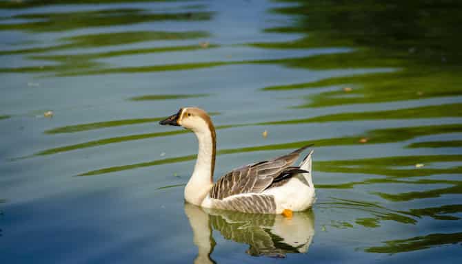 Blog images - 2026 - VOL.001 - Sultan Marshes National Park
